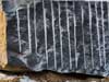 black-granite-sidhi